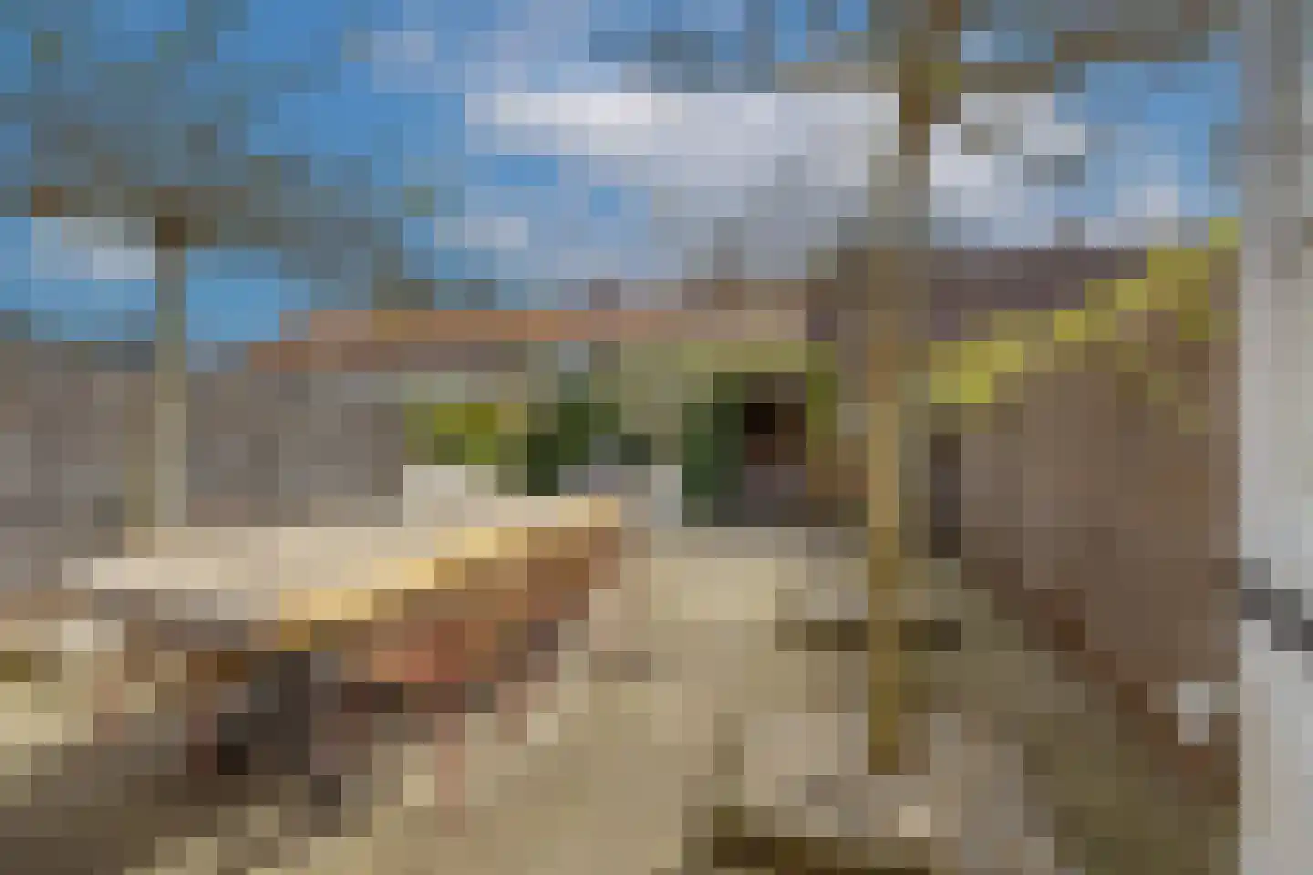 Willem van de Veldelaan 40 Vlissingen thumbnail 22