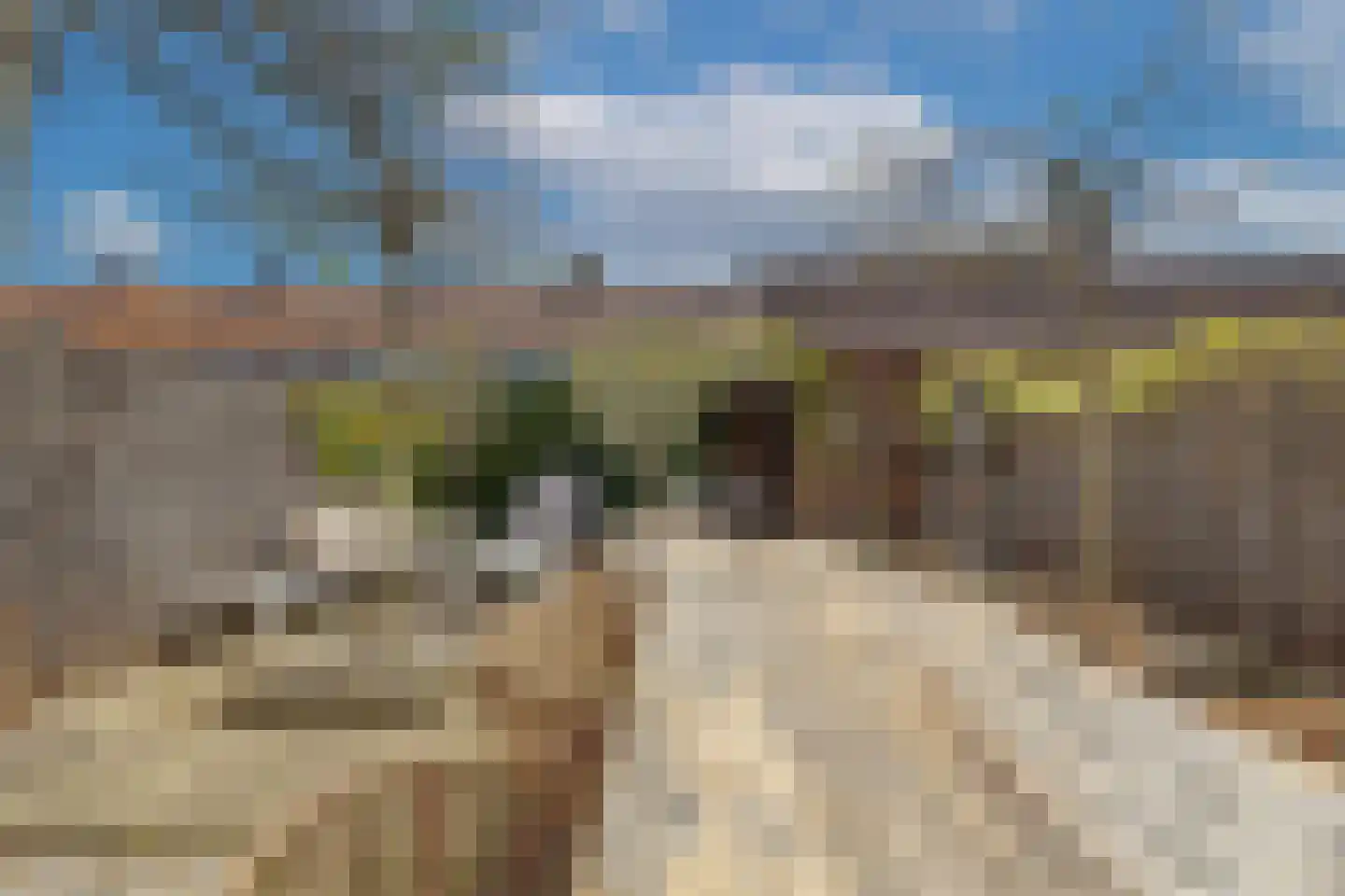 Willem van de Veldelaan 40 Vlissingen thumbnail 23