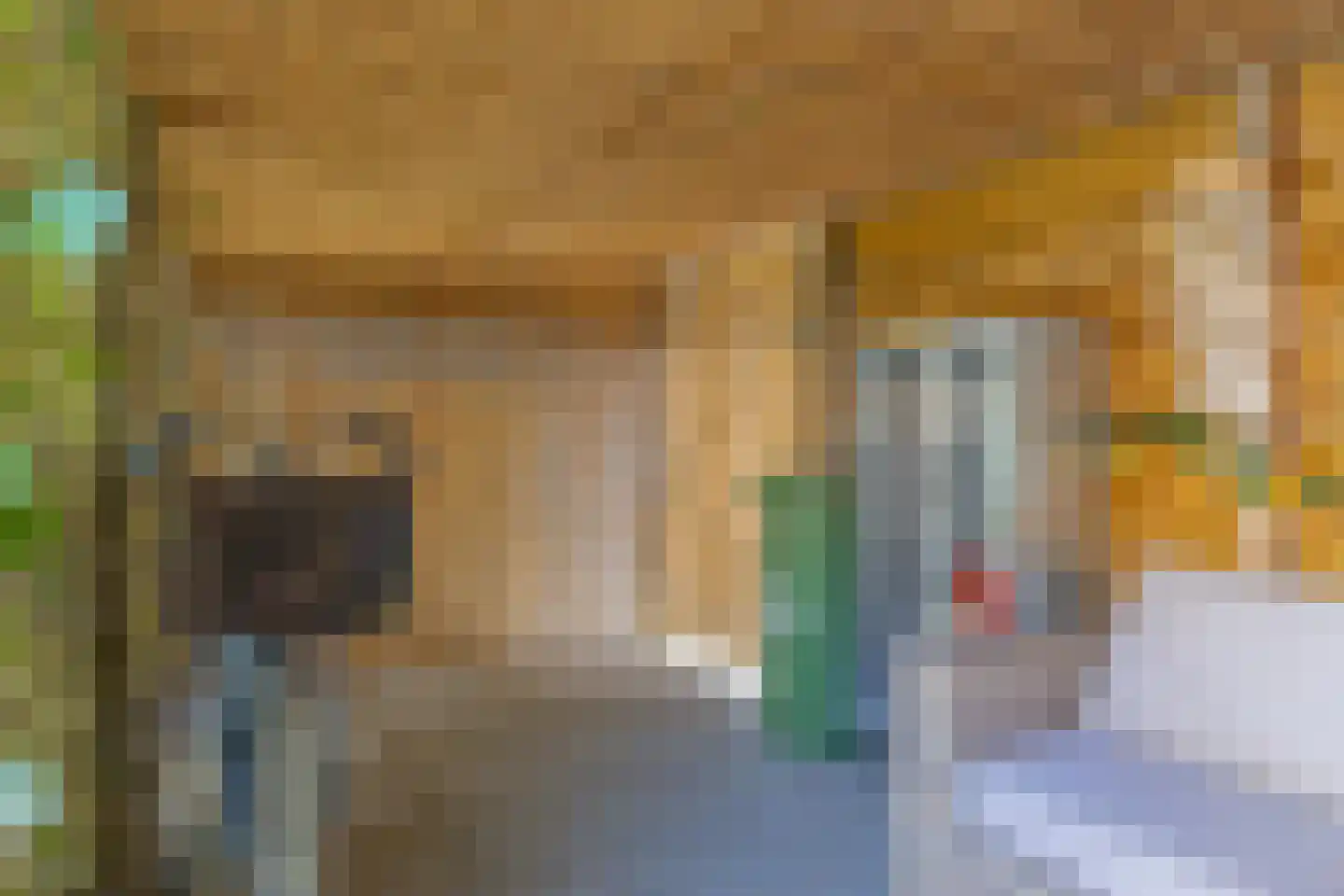 Willem van de Veldelaan 40 Vlissingen thumbnail 26