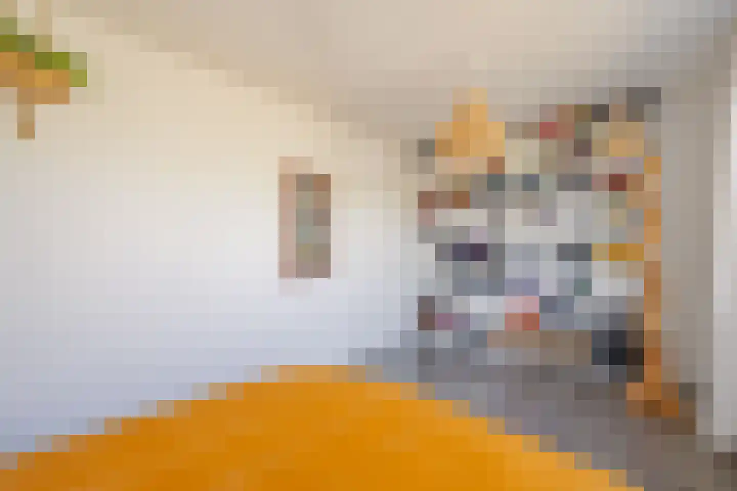 Willem van de Veldelaan 40 Vlissingen thumbnail 38
