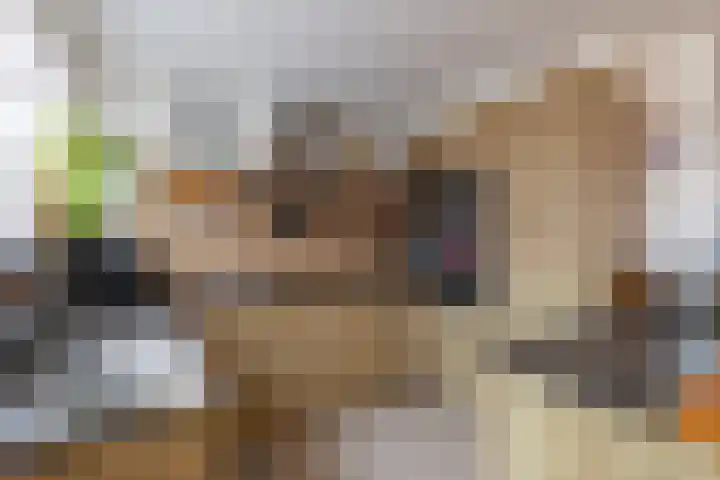 Willem van de Veldelaan 46 Vlissingen thumbnail 11