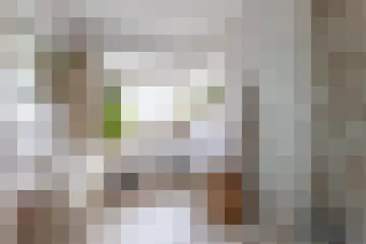 Willem van de Veldelaan 46 Vlissingen thumbnail 17