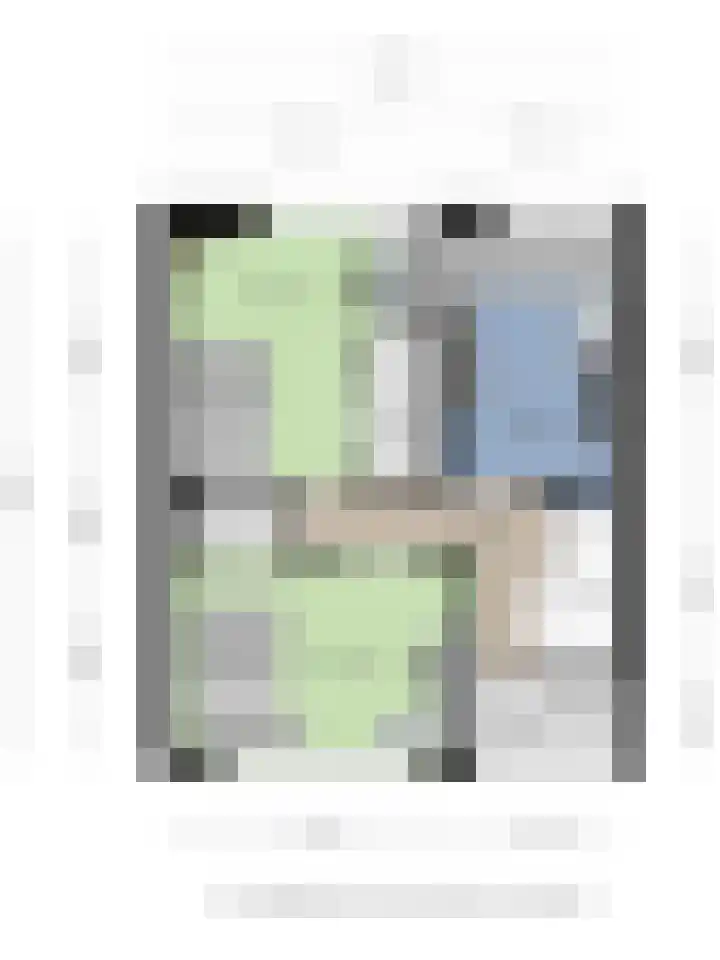 Willem van de Veldelaan 46 Vlissingen thumbnail 26