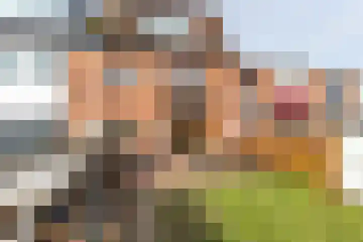 Willem van de Veldelaan 46 Vlissingen thumbnail 4
