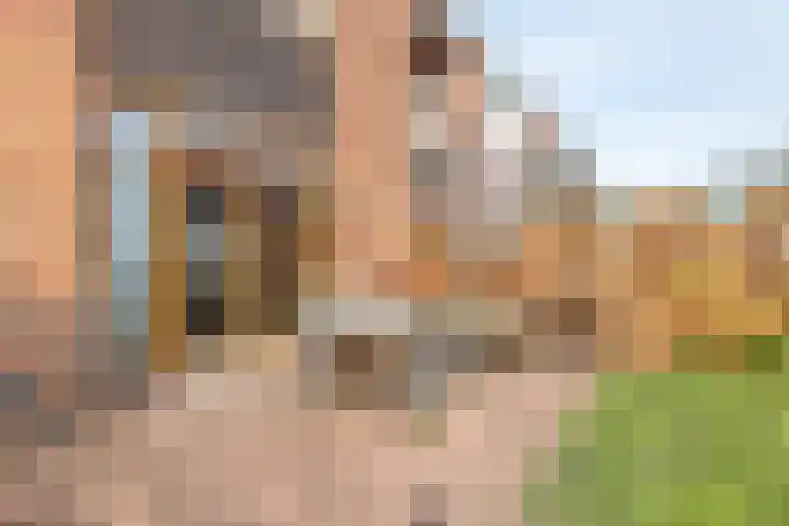 Willem van de Veldelaan 46 Vlissingen thumbnail 5