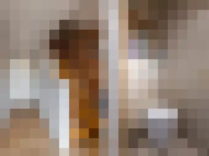Willem van de Veldelaan 46 Vlissingen thumbnail 7