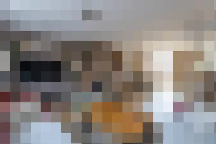 Willem van de Veldelaan 46 Vlissingen thumbnail 8