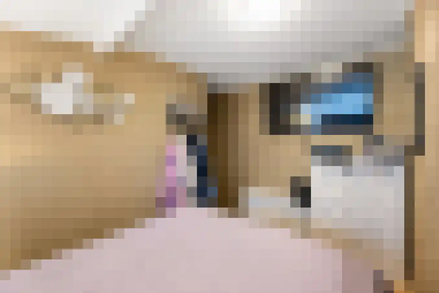 Willem van de Veldelaan 49 Vlissingen thumbnail 16