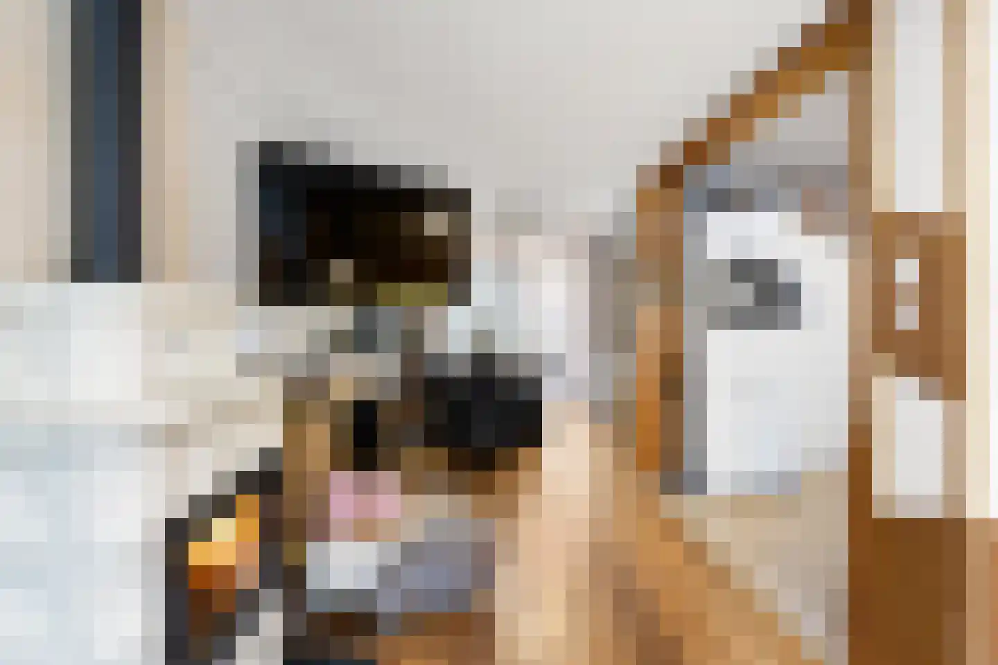 Willem van de Veldelaan 49 Vlissingen thumbnail 6