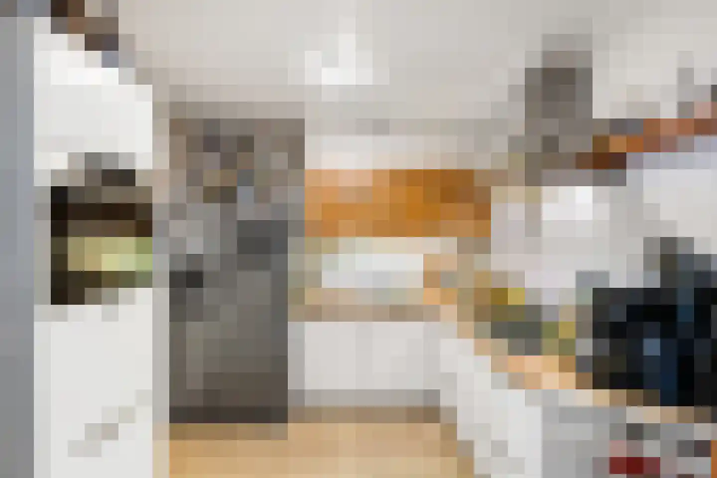 Willem van de Veldelaan 49 Vlissingen thumbnail 7