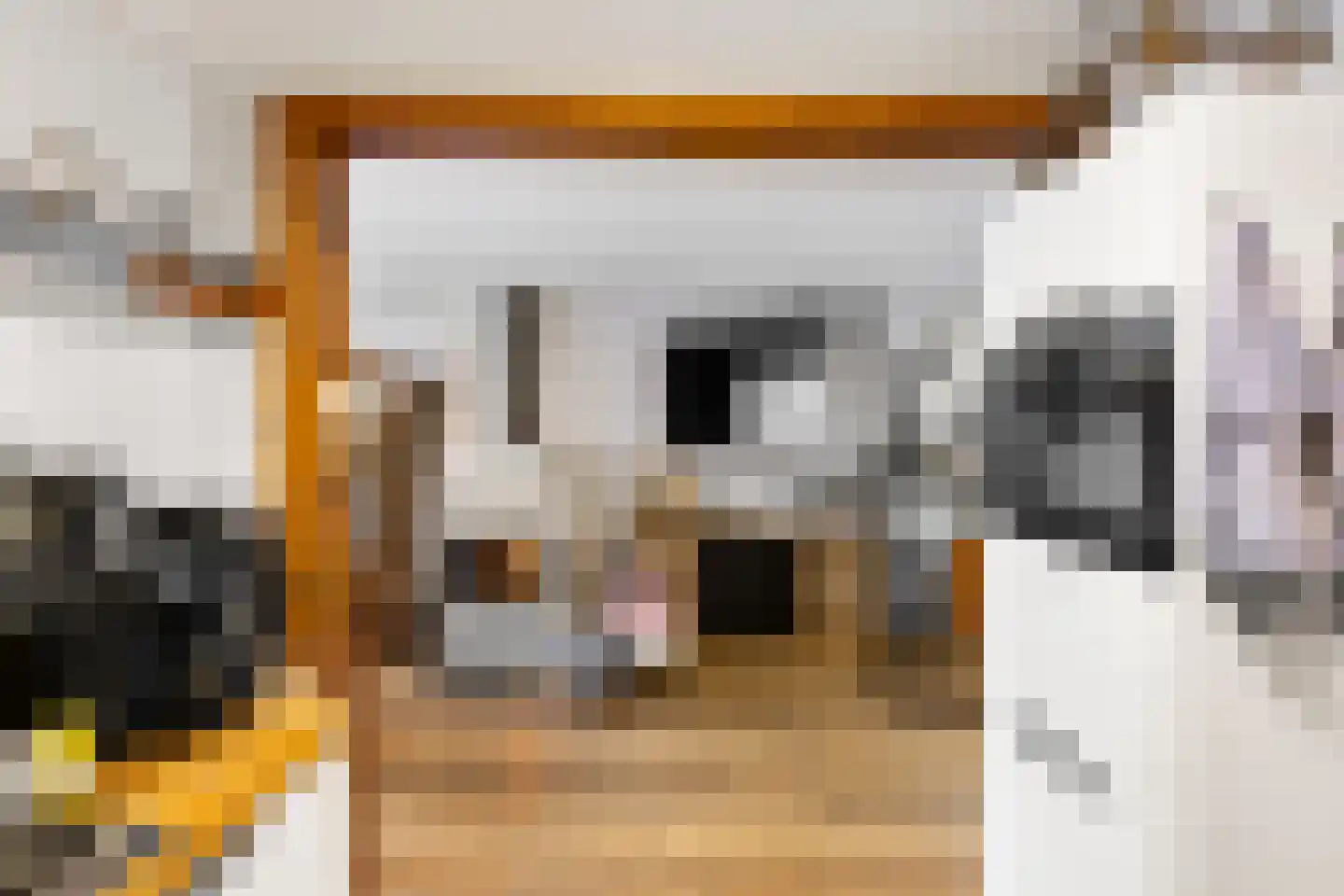 Willem van de Veldelaan 49 Vlissingen thumbnail 9