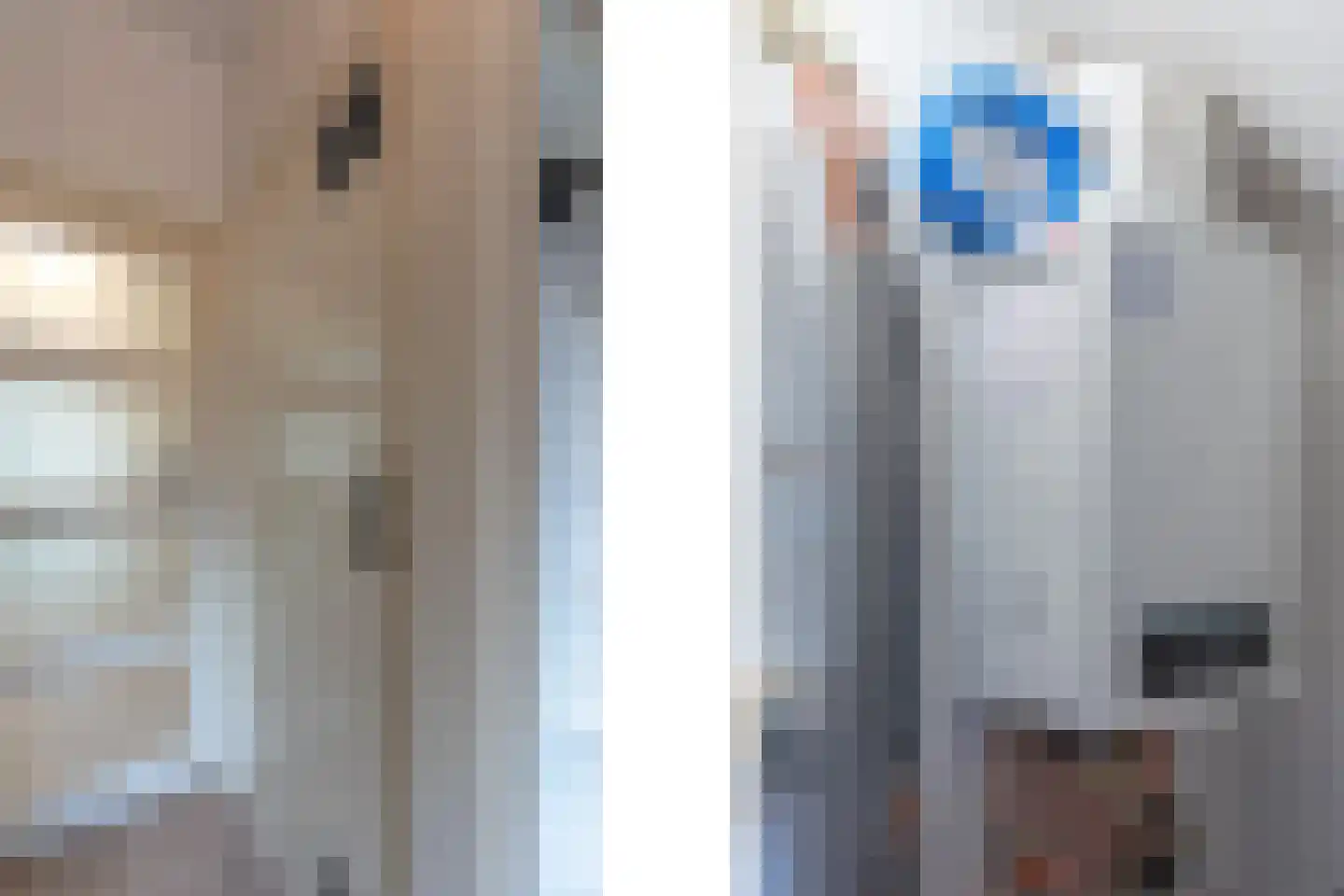 Willem van de Veldelaan 58 Vlissingen thumbnail 12