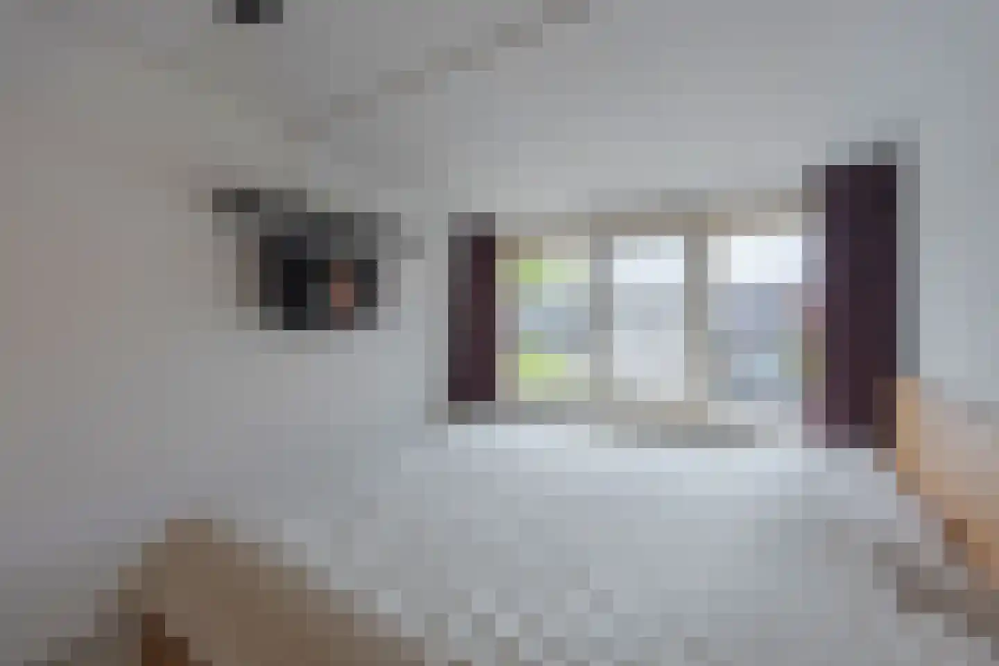 Willem van de Veldelaan 58 Vlissingen thumbnail 35