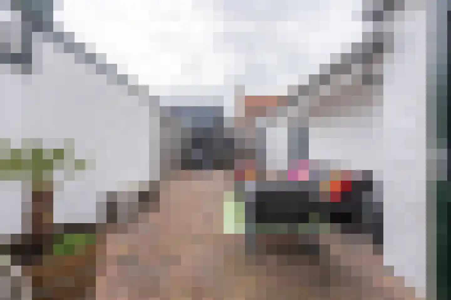 Willem van de Veldelaan 58 Vlissingen thumbnail 54