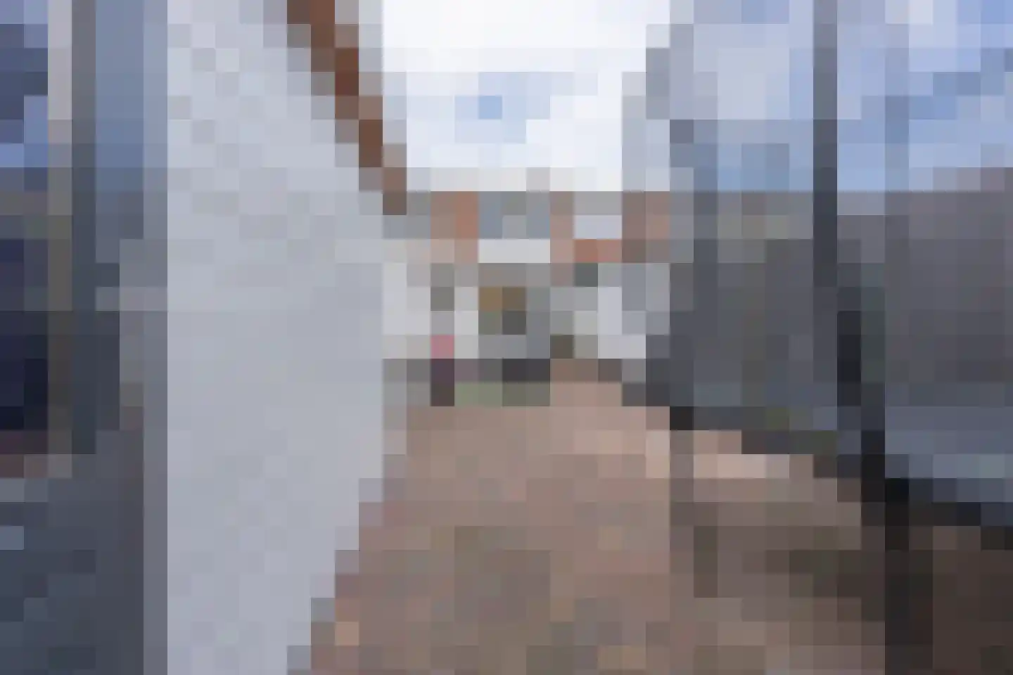 Willem van de Veldelaan 58 Vlissingen thumbnail 57