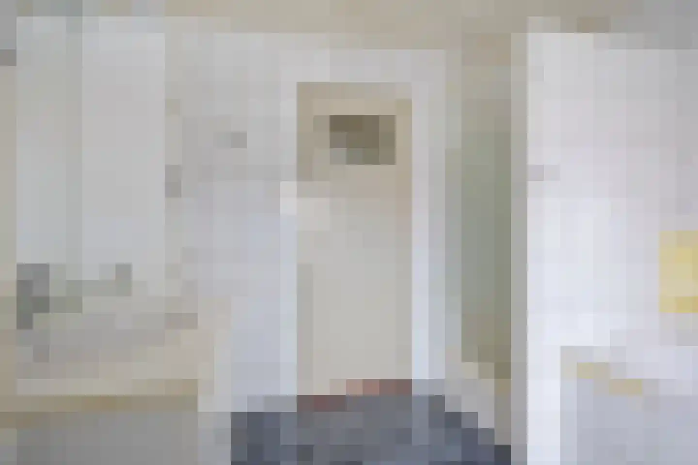 Willem van de Veldestraat 11 Boxmeer thumbnail 15