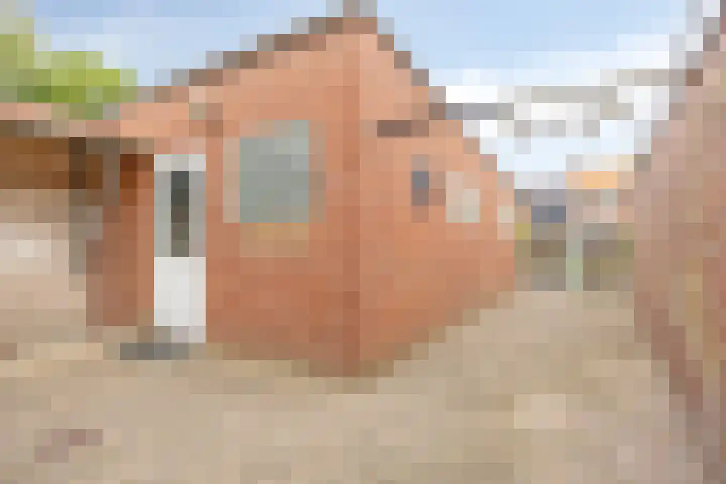 Willem van de Veldestraat 11 Boxmeer thumbnail 20