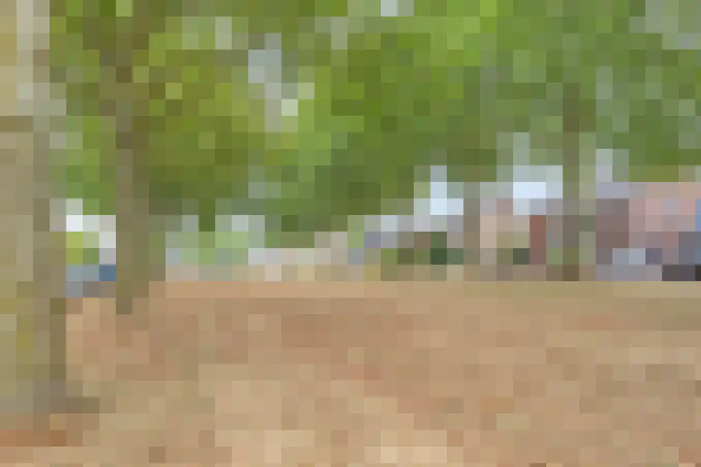 Willem van de Veldestraat 11 Boxmeer thumbnail 26