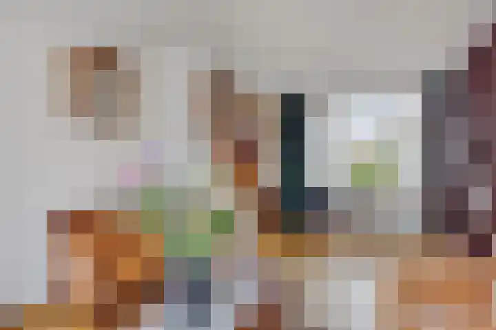 Willem van de Veldestraat 15 Boxmeer thumbnail 11