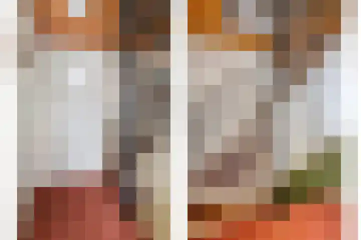 Willem van de Veldestraat 15 Boxmeer thumbnail 18
