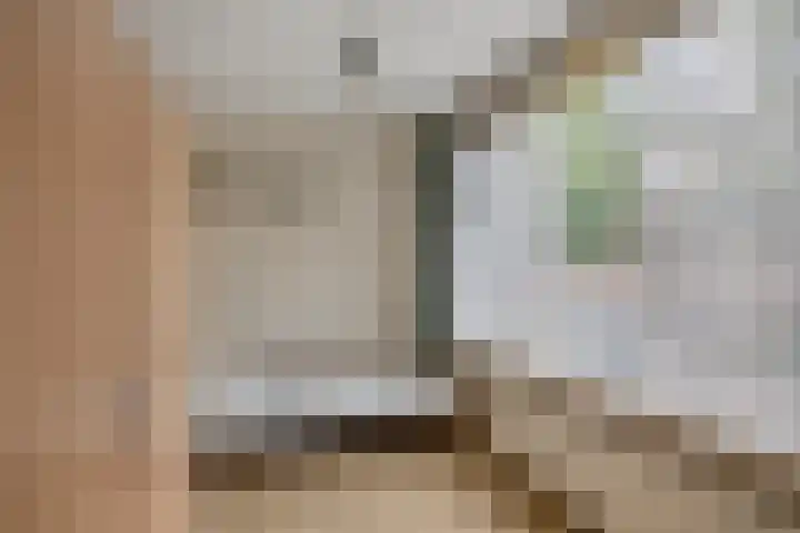 Willem van de Veldestraat 15 Boxmeer thumbnail 21