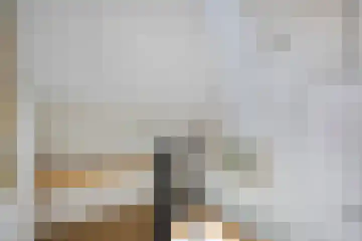 Willem van de Veldestraat 15 Boxmeer thumbnail 24