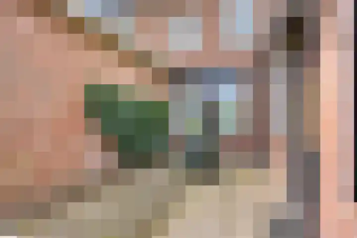 Willem van de Veldestraat 15 Boxmeer thumbnail 28
