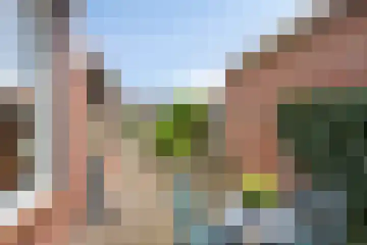 Willem van de Veldestraat 15 Boxmeer thumbnail 6