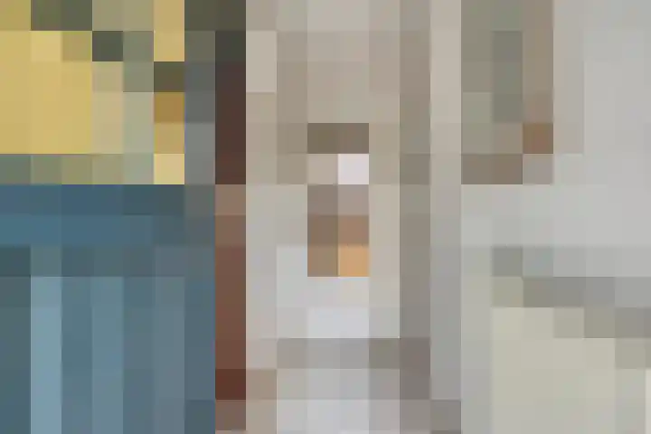 Willem van de Veldestraat 15 Boxmeer thumbnail 7