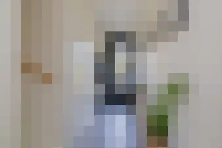 Willem van de Veldestraat 37 Alphen aan den Rijn thumbnail 14
