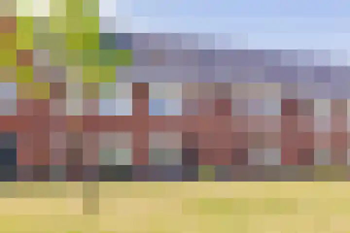 Willem van de Veldestraat 37 Alphen aan den Rijn foto 2