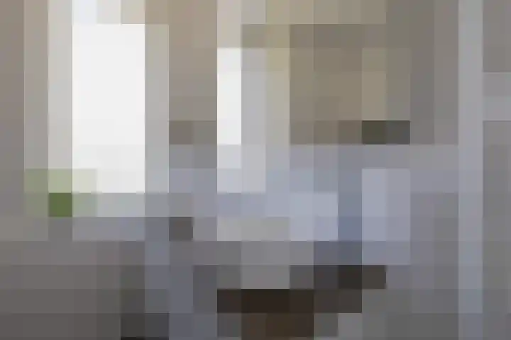 Willem van de Veldestraat 37 Alphen aan den Rijn thumbnail 27