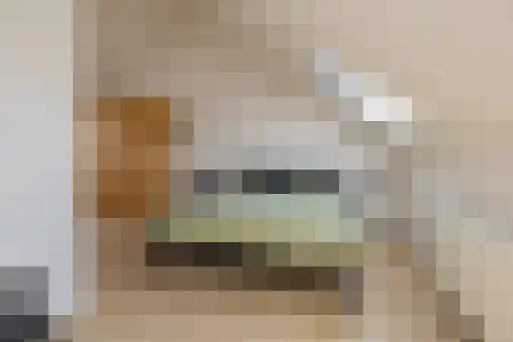 Willem van de Veldestraat 37 Alphen aan den Rijn thumbnail 34