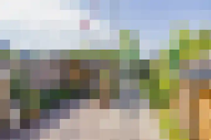 Willem van de Veldestraat 37 Alphen aan den Rijn thumbnail 36