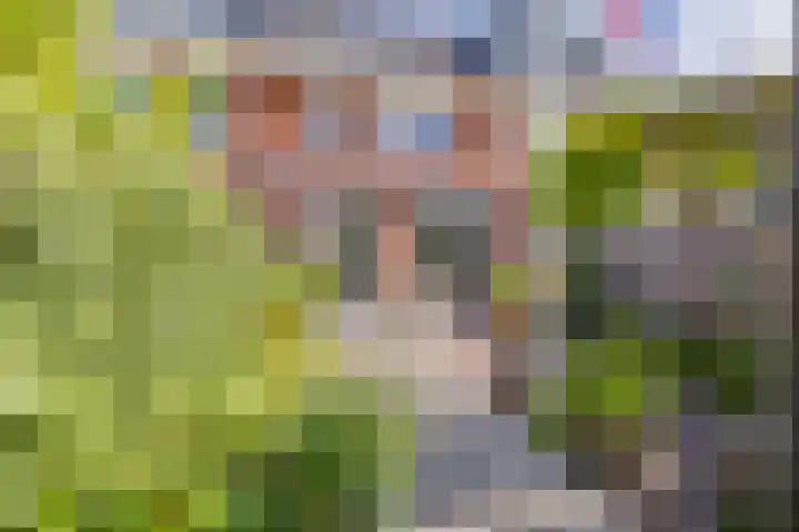 Willem van de Veldestraat 37 Alphen aan den Rijn thumbnail 38