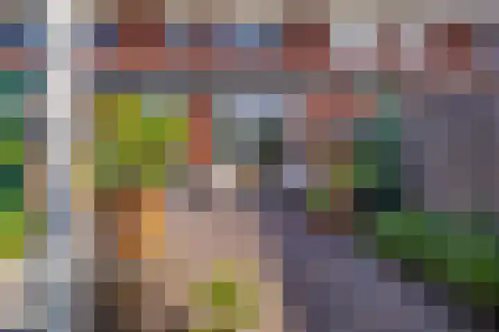 Willem van de Veldestraat 37 Alphen aan den Rijn thumbnail 39
