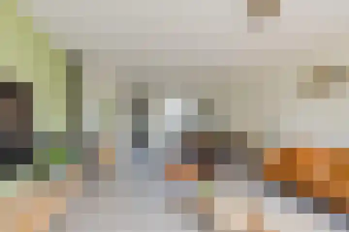 Willem van de Veldestraat 37 Alphen aan den Rijn thumbnail 4