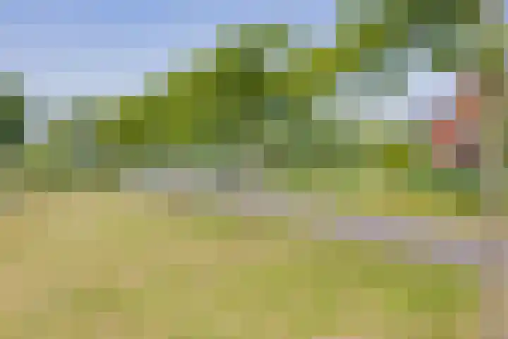 Willem van de Veldestraat 37 Alphen aan den Rijn thumbnail 42