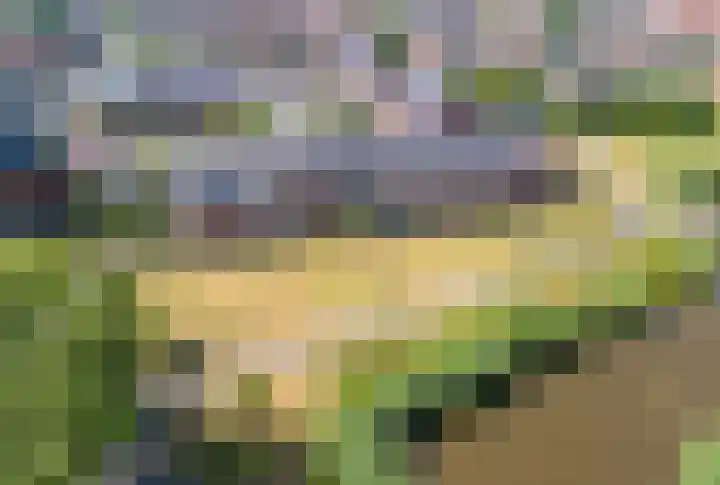 Willem van de Veldestraat 37 Alphen aan den Rijn thumbnail 44