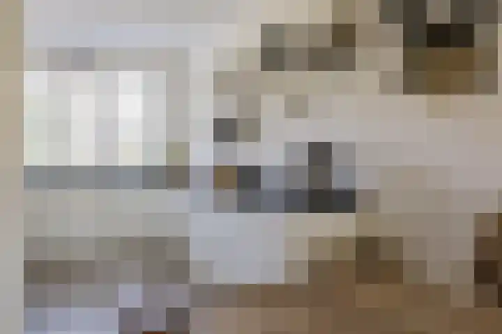 Willem van de Veldestraat 37 Alphen aan den Rijn thumbnail 9