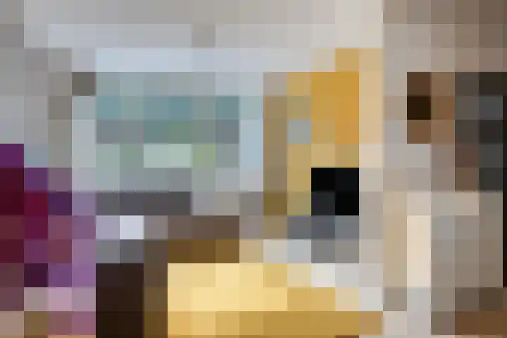 Willem van de Veldestraat 7 Boxmeer thumbnail 10