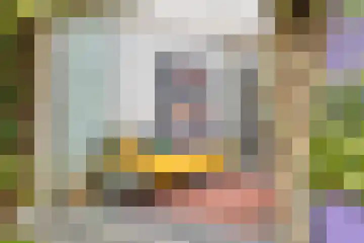 Willem van de Veldestraat 7 Boxmeer thumbnail 24
