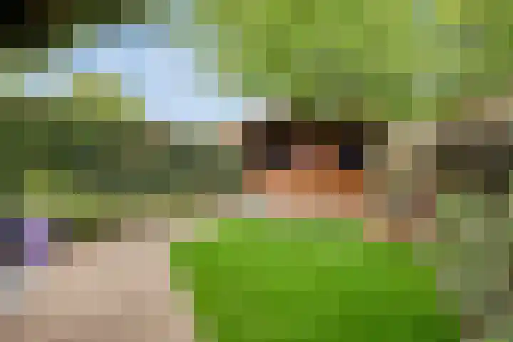 Willem van de Veldestraat 7 Boxmeer thumbnail 27