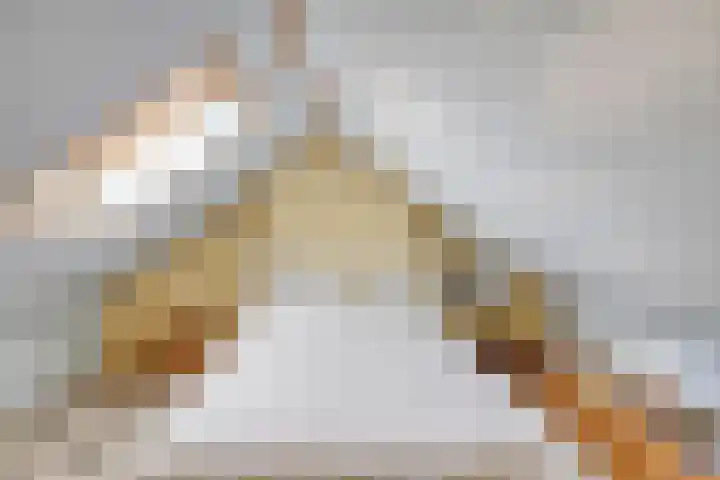 Willem van de Veldestraat 7 Boxmeer thumbnail 36