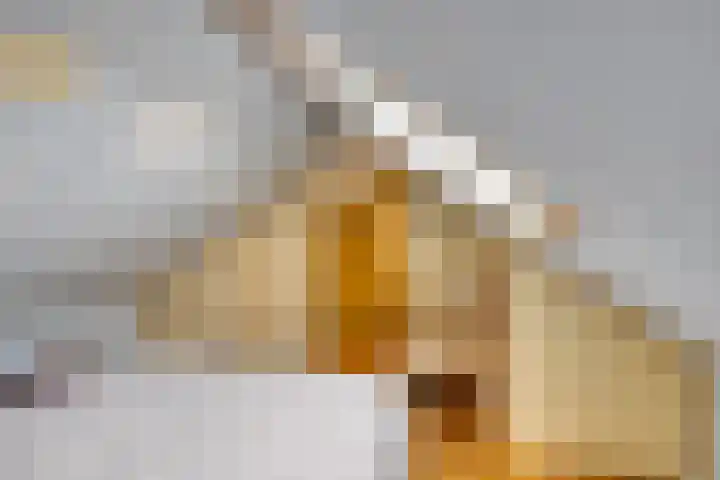 Willem van de Veldestraat 7 Boxmeer thumbnail 37