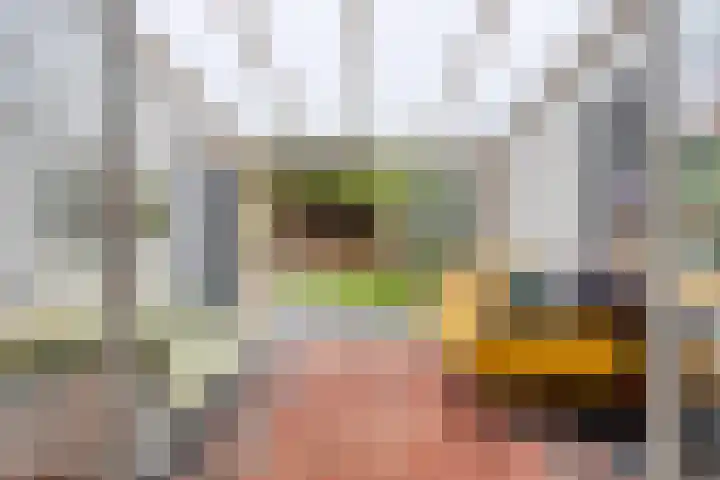 Willem van de Veldestraat 7 Boxmeer thumbnail 4