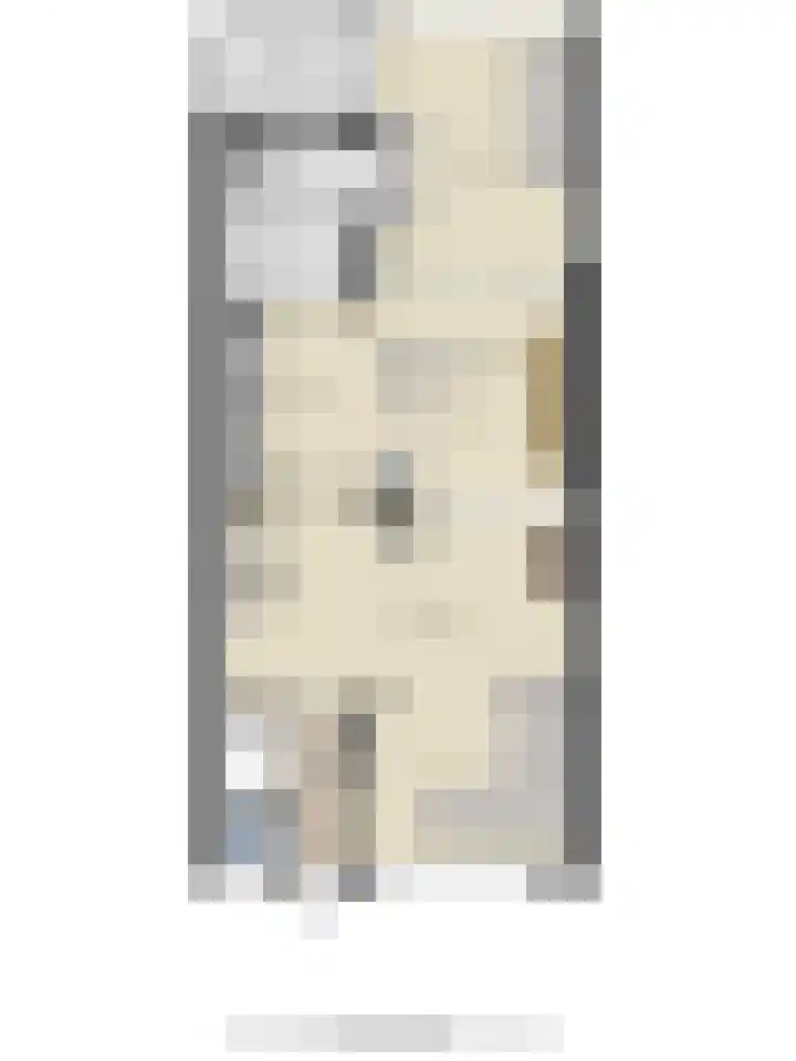 Willem van de Veldestraat 7 Boxmeer thumbnail 42