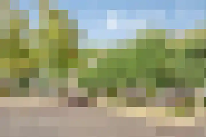 Willem van de Veldestraat 7 Boxmeer thumbnail 6