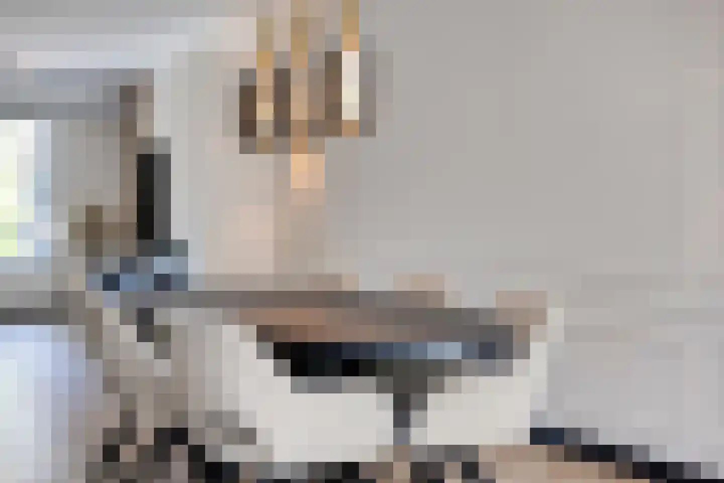 Willem van de Wakkerstraat 9 Nuenen thumbnail 24