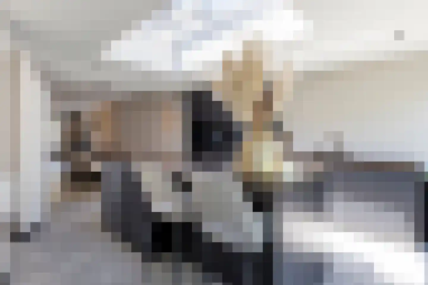 Willem van de Wakkerstraat 9 Nuenen thumbnail 29